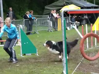 Concours Folschviller 2012 - Tessie, Eyko et Cali