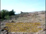 Windmar: Masacre ambiental en Guayanilla