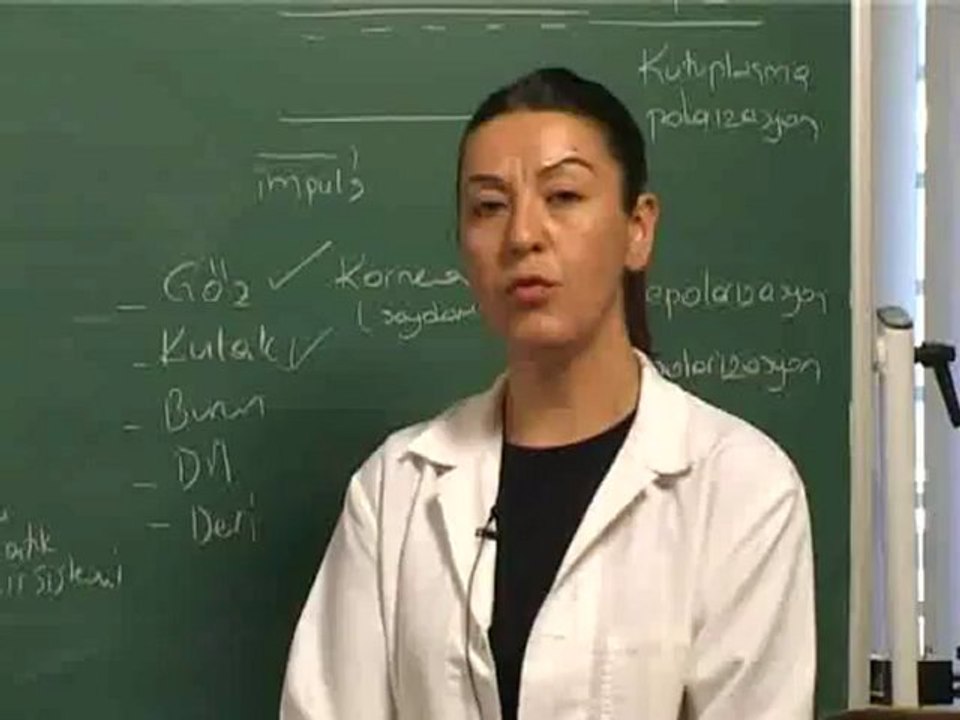 25-Sinir Sistemleri Ve Duyu Organları