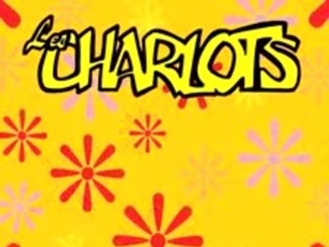 Les archives de Jean Sarrus