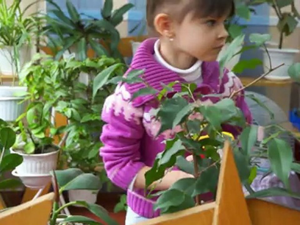 Добрые сказки