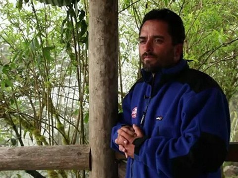 L'Equateur, paradis d'oiseaux exotiques