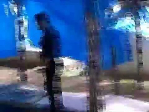 Сирийская оппозиция просит остановить кровопролитие