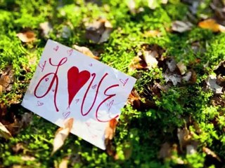 Jason Reeves-More In Love With You (feat. Nelly Joy) - [Official Lyric Video] Türkçe Altyazılı