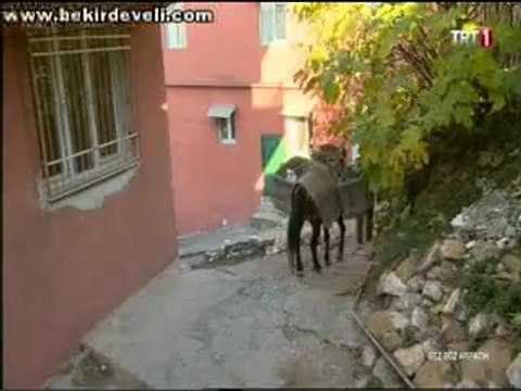 Bekir Develi - Gez Göz Arpacık-Hatay / Belen