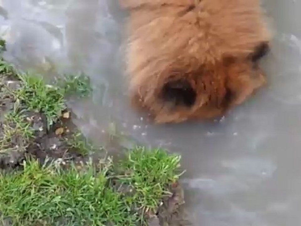 video-2012-05-29-18-01-21