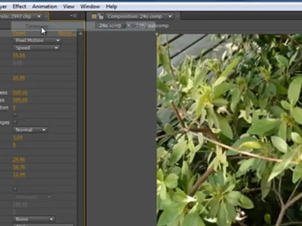 Frame Rates and Interlacing