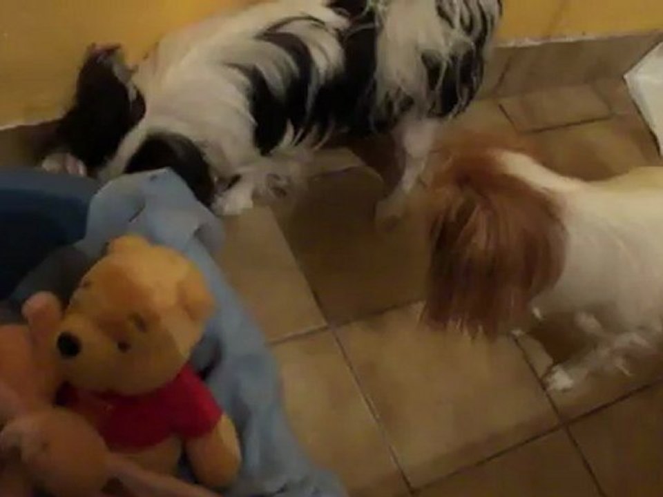 Je joue avec ma maman!!! et ma tata Félicie!!