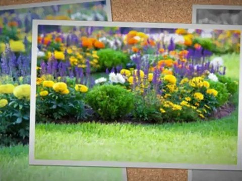 D & D Lawn Services (920) 326-6464