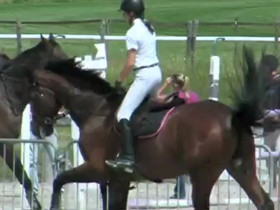 Bandit audrey delmas pau 6 ans B juin 2012