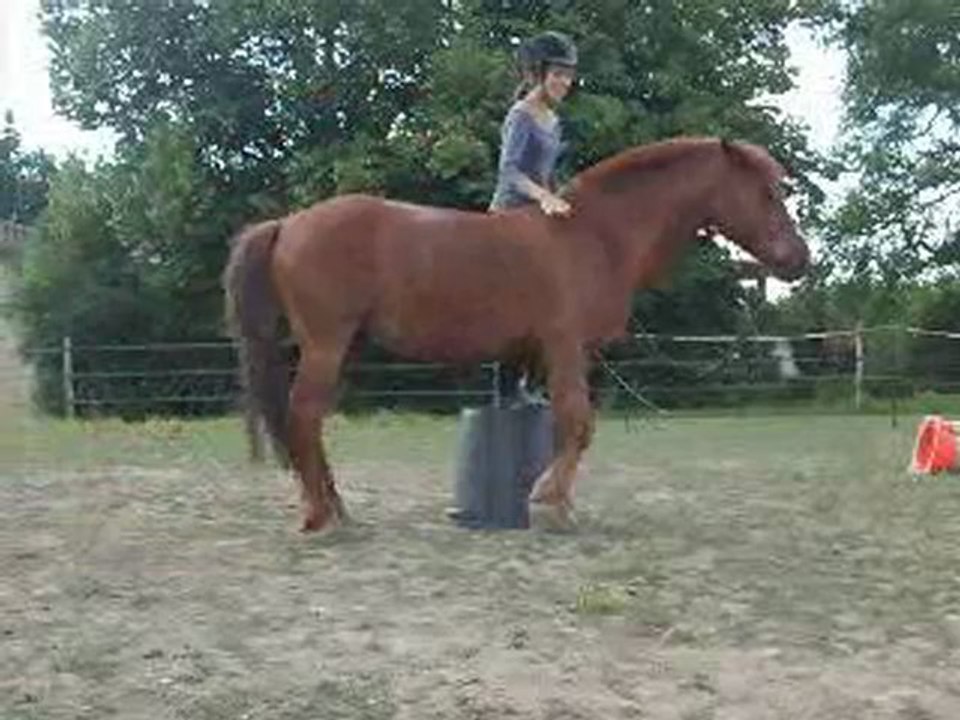 Paladin et rock avril/mai/juin