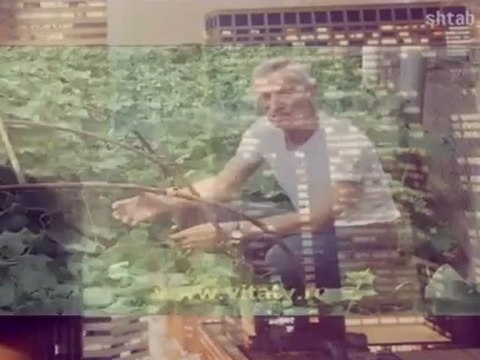 shtabking TV 11 Новое Шоу Тоципостюль (Unrated)