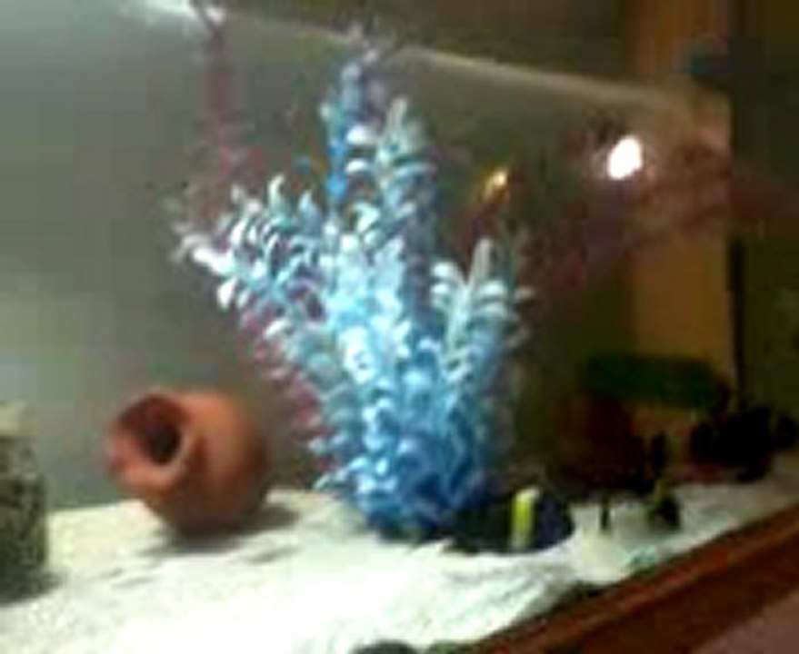 Video0028