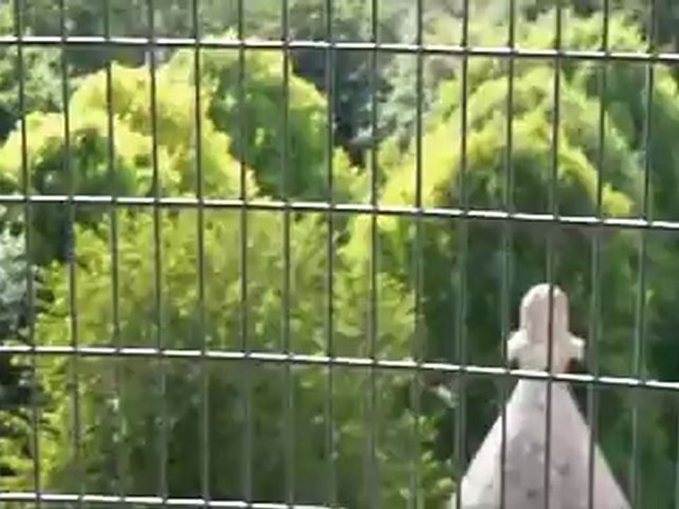 Mémorial de Dormans  1914 - 1918 CC18C 2012