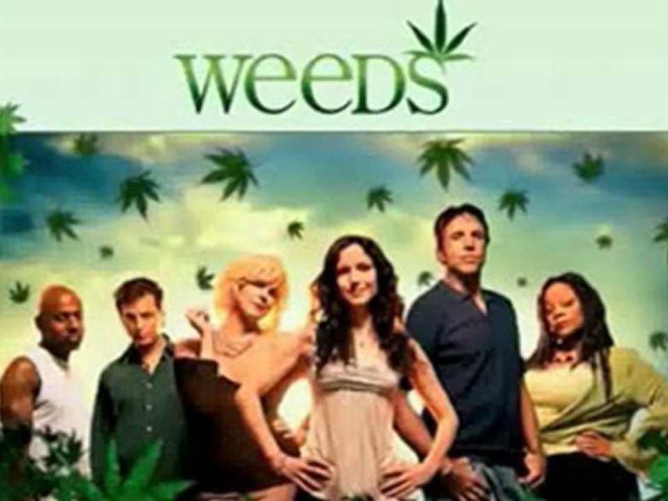 The Big Bang Theory Season 5, Episode 21: The Hawking Excitation