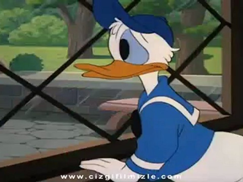 Donald Duck - Gürültücü Arı (cizgifilmizle.com)