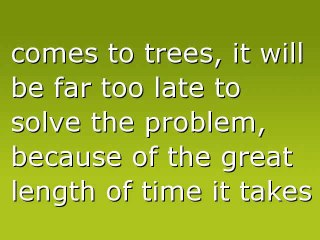 One Tree Can Do Quite A Bit!