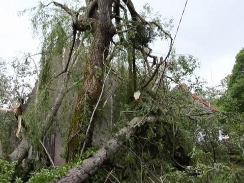 MARMAGNE - Un orage fait de gros dégâts