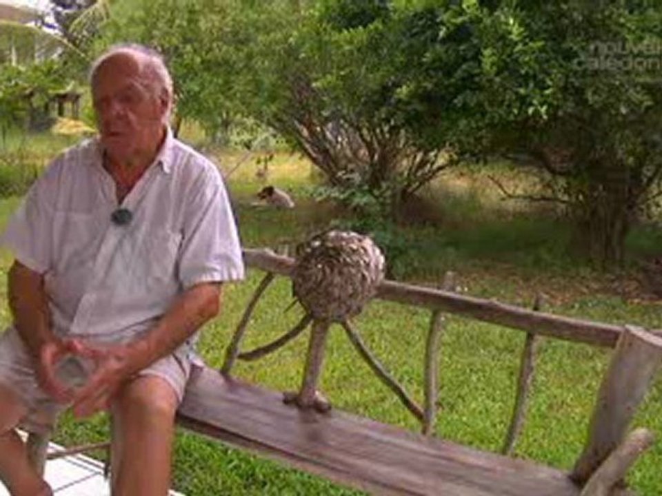 Sculpteur sur bois flotté