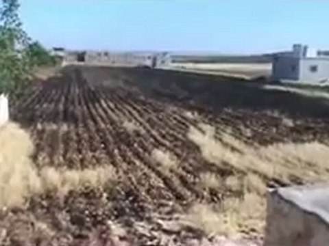 Syria فري برس حلب الابزمو حرق الاراضي الزراعيه من قبل عصابات الاسد بالبلده 7 6 2012 Aleppo
