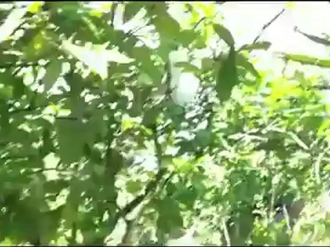 Syria فري برس اللاذقية الحفة آثار القصف على المنازل 7 6 2012 Latakia