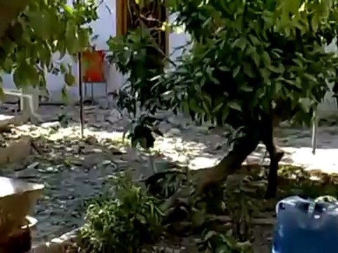 Syria فري برس حماه المحتلة كفرزيتا جراء القصف الصاروخي ليلاً على المدينة 7 6 2012 Hama