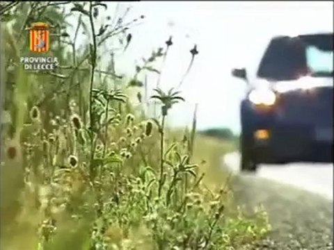 Leccenews24 notizie dal Salento in tempo reale: Tg 5 Giugno
