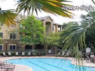 Alara Cantebrea Crossing Apartments in Austin, TX - ...