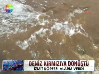 İzmit körfezi kırmızıya dönüştü - 07 haziran 2012