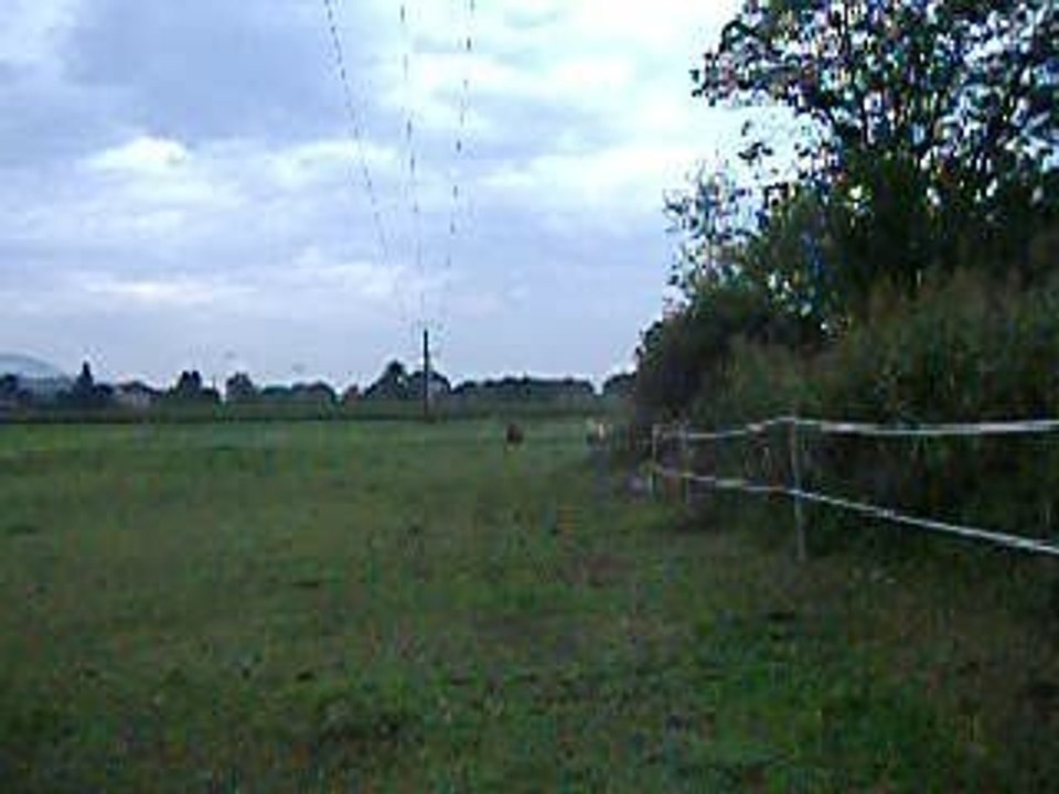 DSCF8336