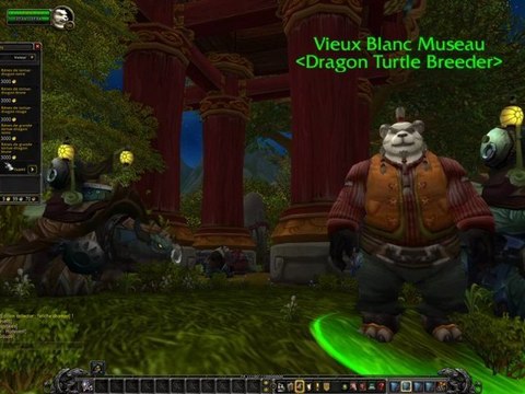 Vendeur de tortues-dragons à Hurlevent - Mists of Pandaria