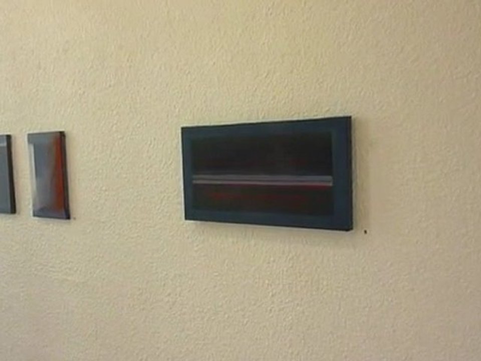 GENEVIEVE ASSE | oeuvres récentes | avril 2012 | galerie ONIRIS | Rennes