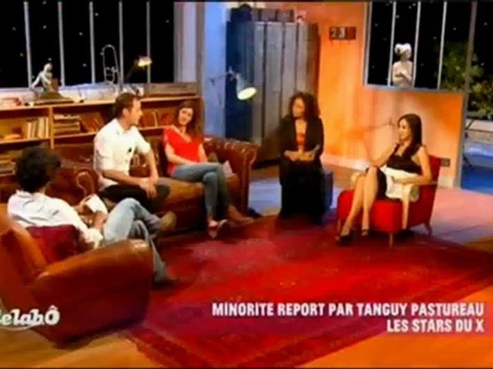 Tanguy Pastureau : "Minorités Report : les stars du X" [France Ô]