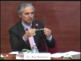 11 - Avv. Raul Pellegrini - Relazione - 19 giugno 2010