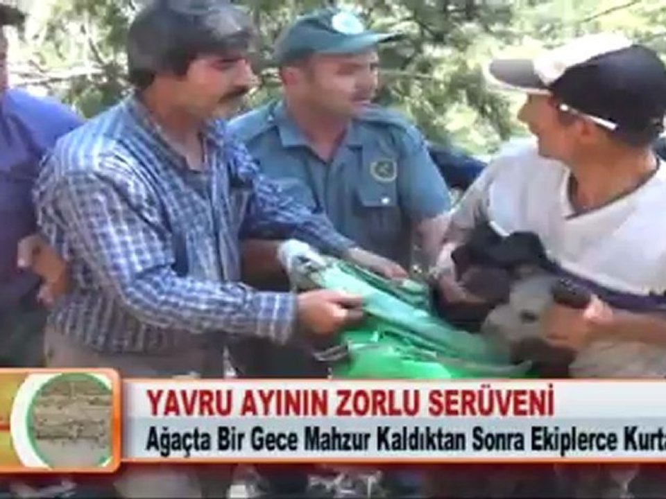 YAVRU AYININ ZORLU SERÜVENİ