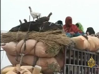 عمليات تمشيط قندهار أدت لنزوح العائلات