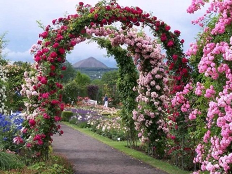 Les vacances en Thaïlande - decouvrez le royaume magique!