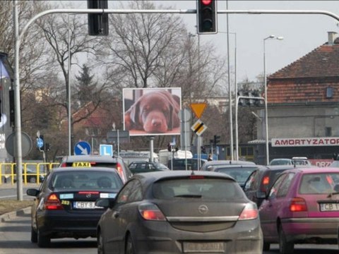 TELEBIM BYDGOSZCZ, OGIŃSKIEGO TEL.782 666 777