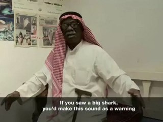 Witness - Witness - Sharks of Kuwait