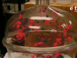 Documentales radicales y libres. Punto de vista 2010