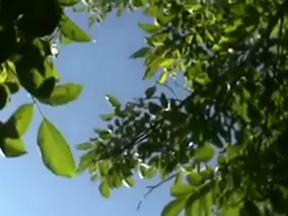 Syria فري برس  حمص الطيران العامودي يقصف حمص الزعفرانة 7 6 2012 Homs