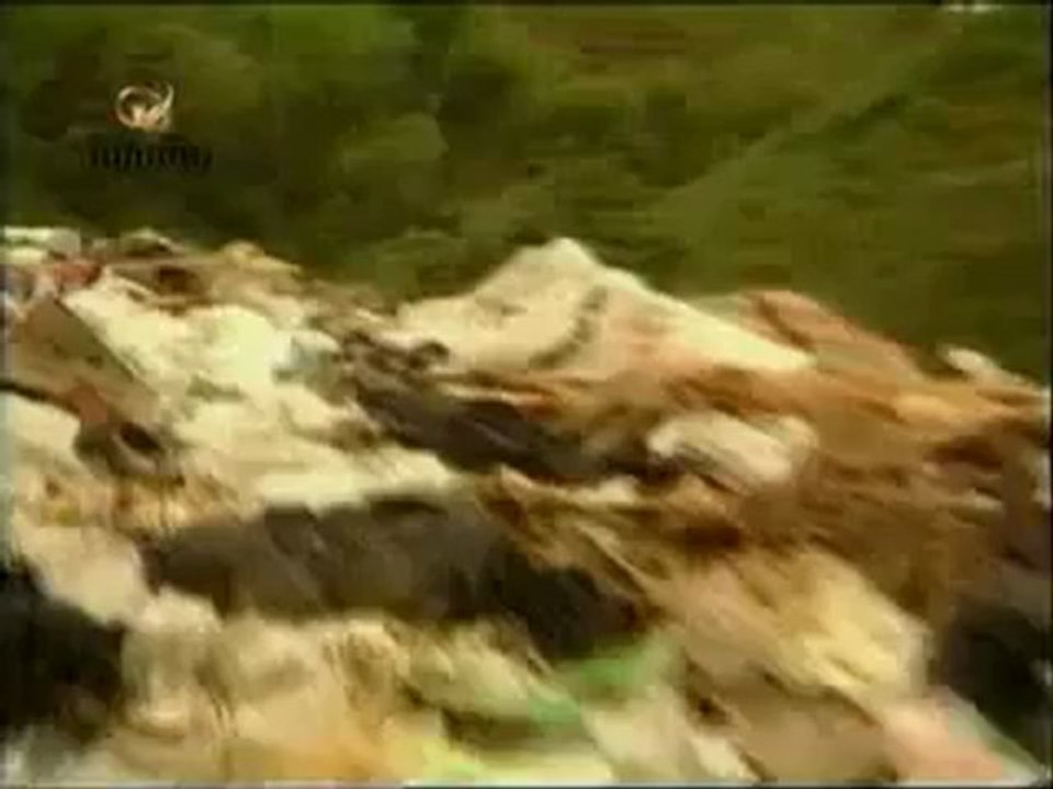 PROFECÍAS MAYAS - PARTE 1