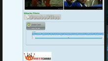 www.albpiratet.com