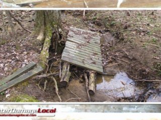 Everett Water Damage Repair