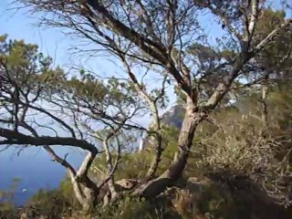 IBIZA AUTHENTIQUE vestiges d'une ferme musulmane du XIII° siècle