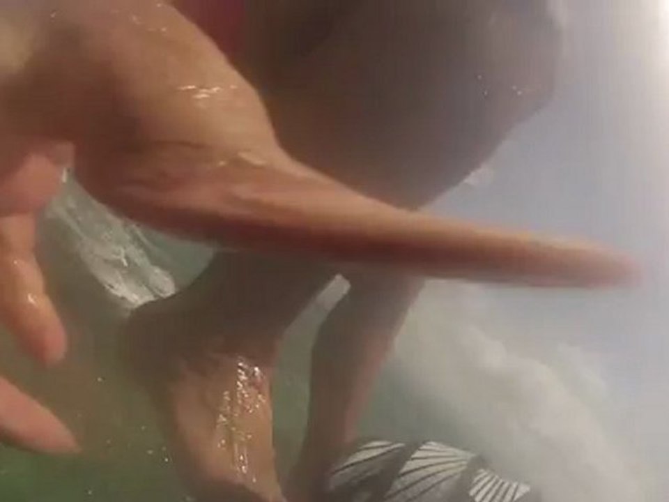 petits sauts a l ilet caret