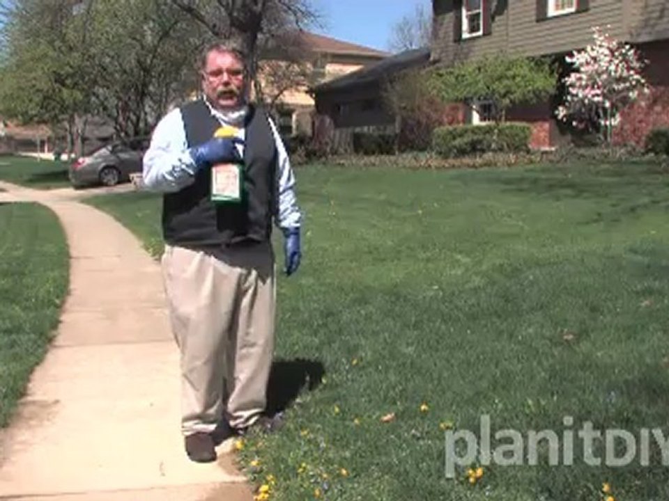 How to Get Rid of Dandelions