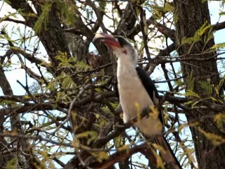 Intrepid Travel Africa Webisode Day 4