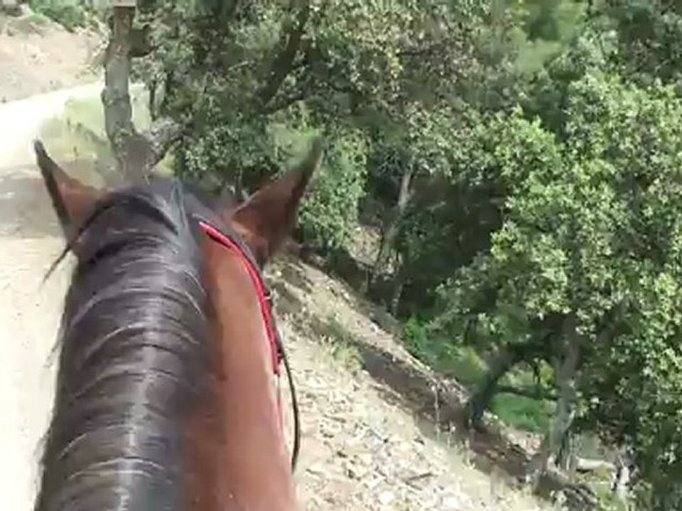 08 06 Promenade au viet Hyères Var