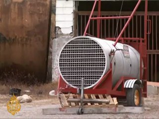 Decline in Canada polar bears